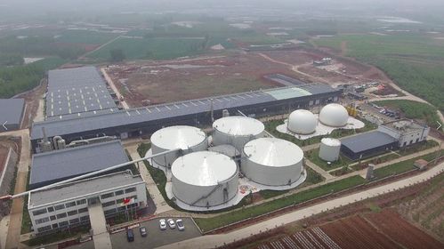 打造綠色能源發(fā)展標桿鎮(zhèn) 公共機構綠電使用率達50%以上的路徑與創(chuàng)新